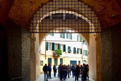 lucca1