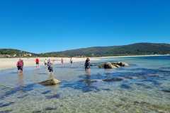 812