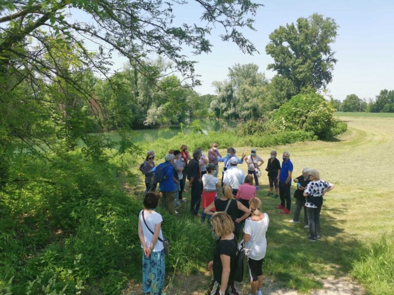 Oasseggiata lugo il Serio